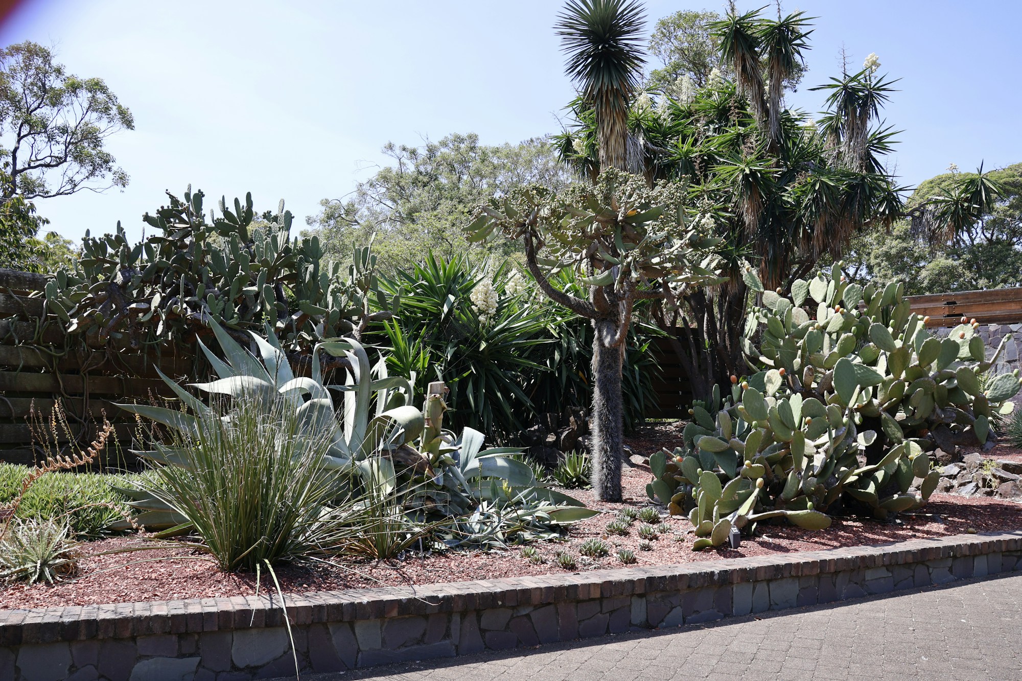 Water-conscious planting and textured garden inspiration